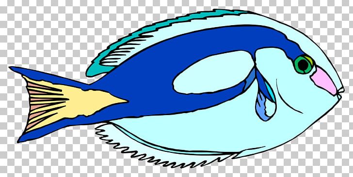 Blue Tang Ornamental Fish Drawing PNG, Clipart, Anglerfish, Animals, Aquatic Animal, Artwork, Blue Tang Free PNG Download