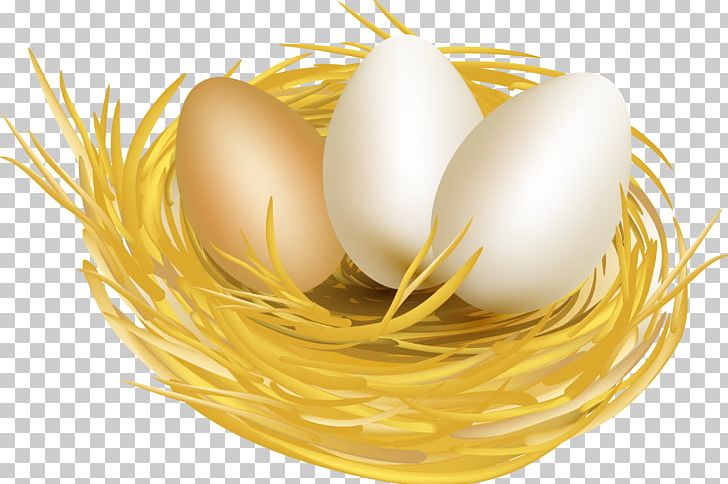 Egg White Chicken Easter Egg PNG, Clipart, Bird Nest, Chicken, Chicken Egg, Chicken Meat, Commodity Free PNG Download