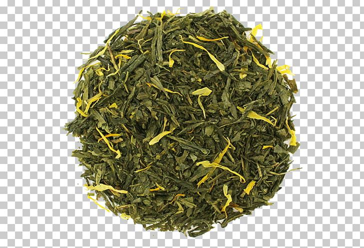 Gyokuro Nilgiri Tea Genmaicha Sencha PNG, Clipart, Assam Tea, Bai Mudan, Bancha, Biluochun, Ceylon Tea Free PNG Download
