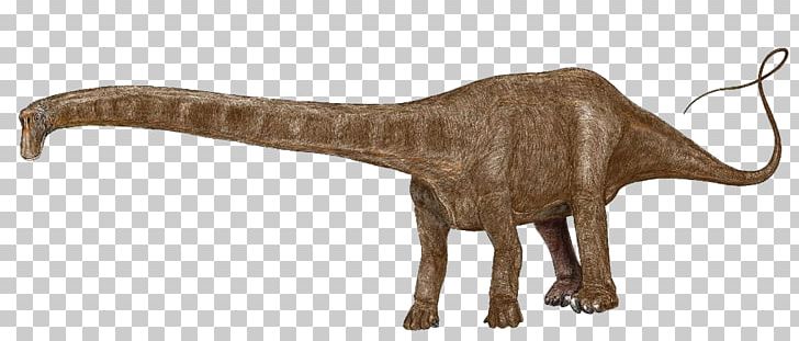 Plateosaurus Dinosaur Size Seismosaurus Apatosaurus PNG, Clipart, Apatosaurus, Brontosaurus, Dinosaur, Dinosaur Size, Diplodocid Free PNG Download