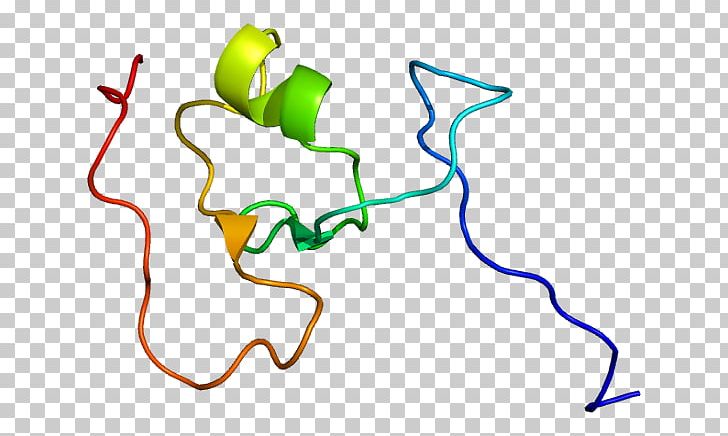 Titin Protein TRIM63 Tripartite Motif Family Actin PNG, Clipart, 2 D, Actin, Area, D 8, Ddt Free PNG Download
