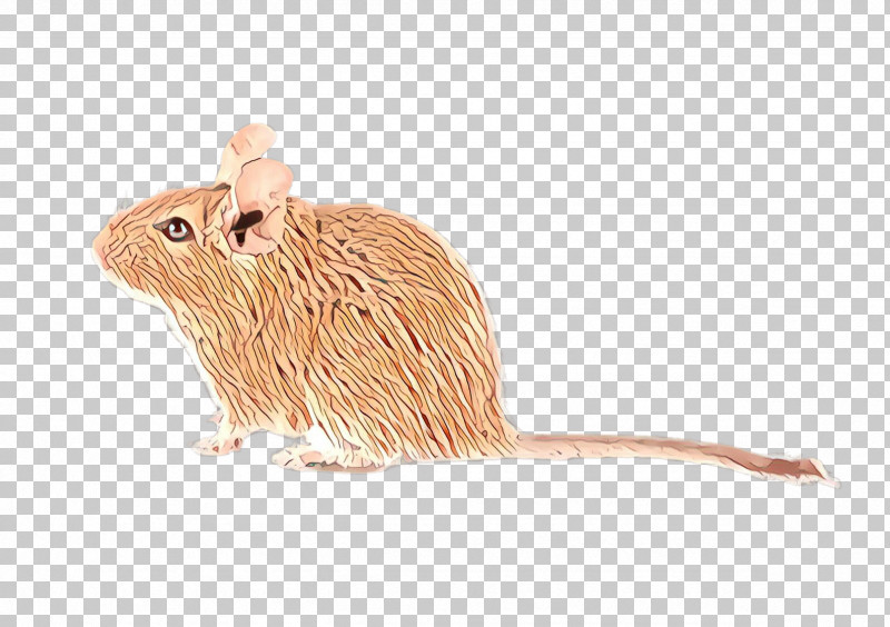 Mouse Muridae Rat Animal Figure Gerbil PNG, Clipart, Animal Figure, Beige, Fawn, Gerbil, Mouse Free PNG Download
