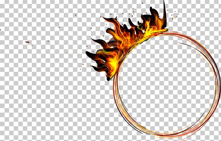 Flame Fire Computer File PNG, Clipart, Blue Flame, Candle Flame, Combustion, Computer File, Computer Graphics Free PNG Download
