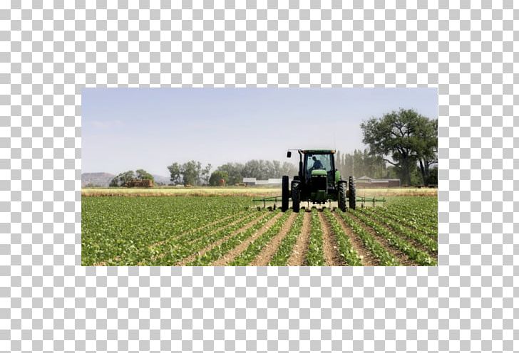 Agriculture Farmer Field Organic Farming PNG, Clipart, Agricultural Machinery, Agriculture, Business, Crop, Family Farm Free PNG Download