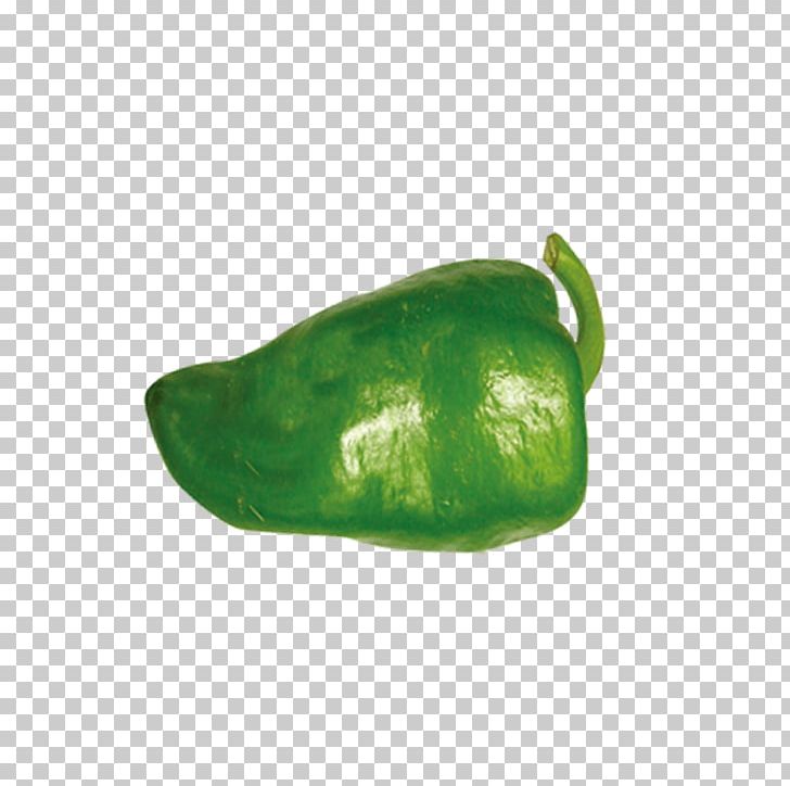Pasilla Organic Food Bell Pepper Vegetable PNG, Clipart, Bell Pepper, Bell Peppers And Chili Peppers, Capsicum, Capsicum Annuum, Chili Pepper Free PNG Download