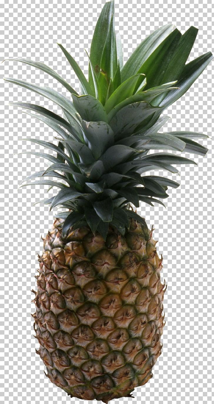 Pineapple PNG, Clipart, Pineapple Free PNG Download