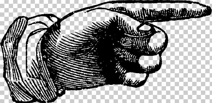 Mammal Carnivoran Hand PNG, Clipart, Arm, Art, Black And White, Carnivoran, Claw Free PNG Download