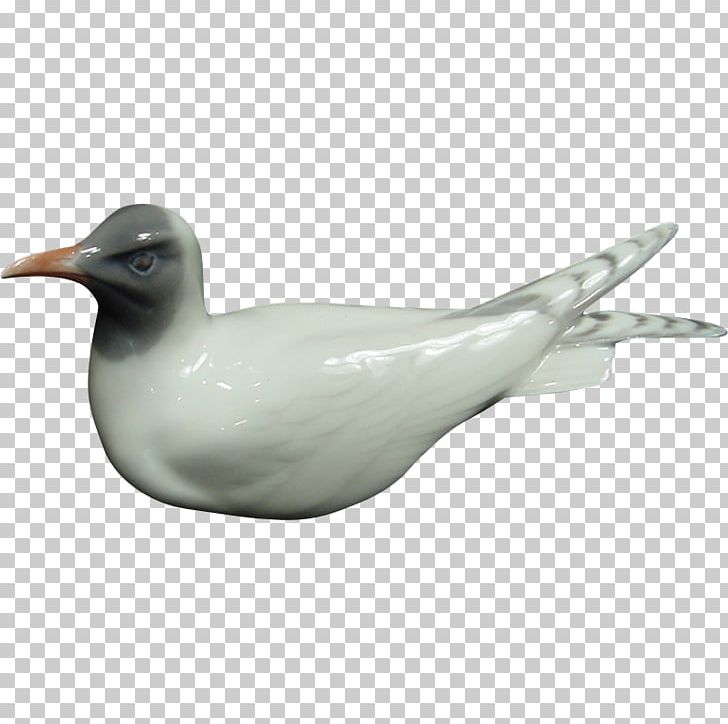 Wader Seabird Water Bird Gannets PNG, Clipart, Animals, Beak, Bird, Charadriiformes, Copenhagen Free PNG Download