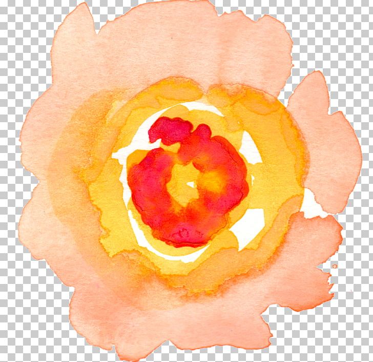 Watercolour Flowers Watercolor Painting PNG, Clipart, Art, Chamomile, Clip Art, Color, Drawing Free PNG Download