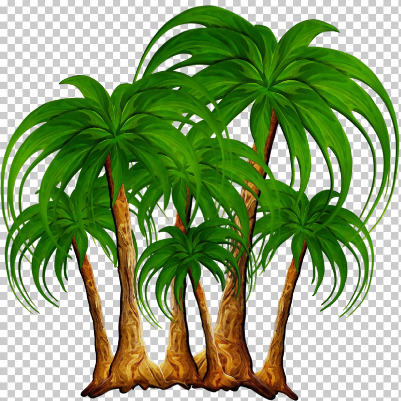 Palm Trees PNG, Clipart, Arecales, Coconut, Elaeis, Flower, Flowerpot Free PNG Download