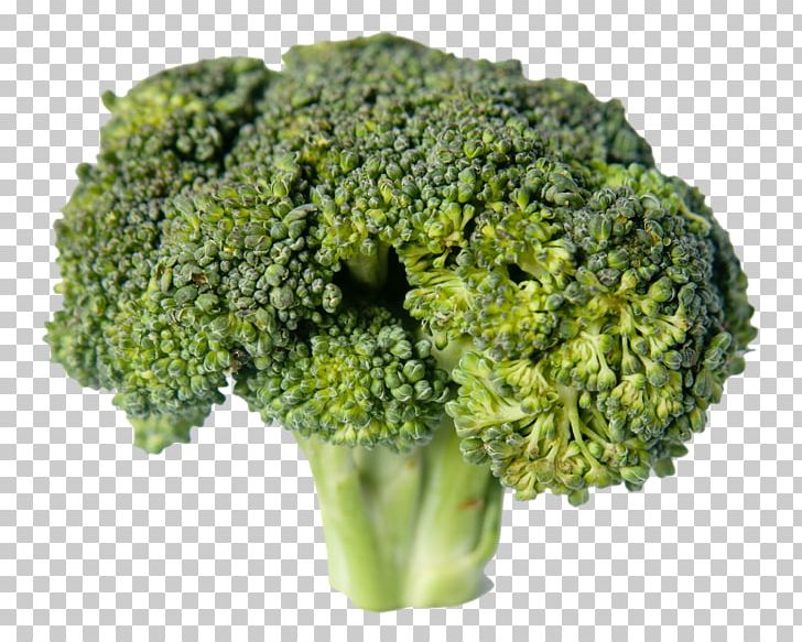 Broccoli Vegetable Food PNG, Clipart, Broccoflower, Broccoli, Cauliflower, Food, Herb Free PNG Download