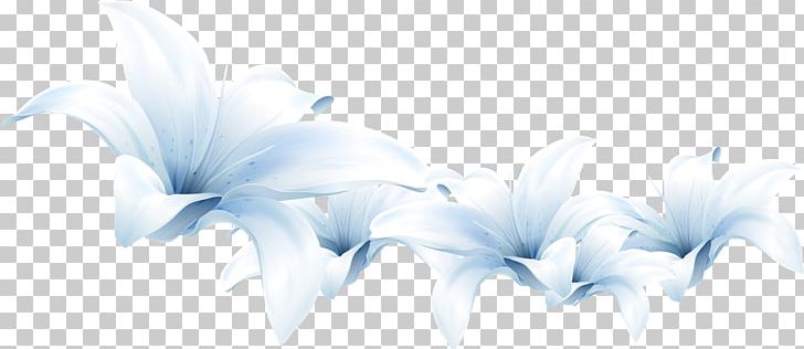 Flower Lilium White PNG, Clipart, Apricot, Art, Black And White, Blue, Cut Flowers Free PNG Download