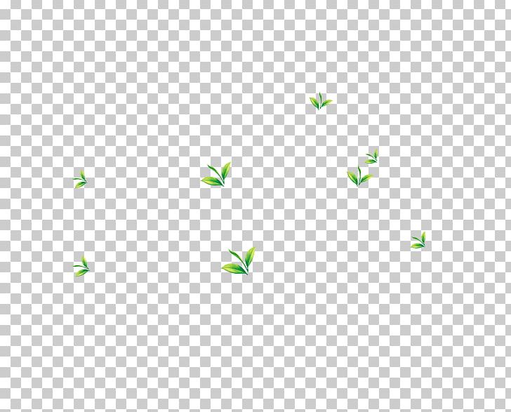Herbaceous Plant Angle Triangle PNG, Clipart, Angle, Artificial Grass, Cartoon Grass, Circle, Creative Grass Free PNG Download