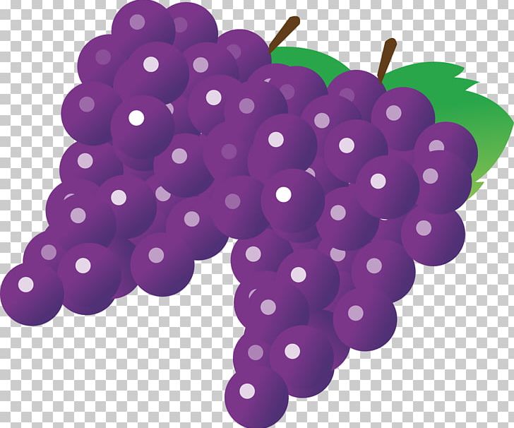 Juice Wine Grape Fruit PNG, Clipart, Black Grapes, Food, Fru, Fruit, Fruit Nut Free PNG Download