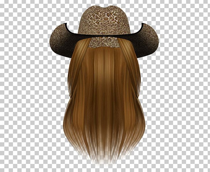 Wig Hair PNG, Clipart, Bigote, Computer, Hair, Hairstyle, Hat Free PNG Download