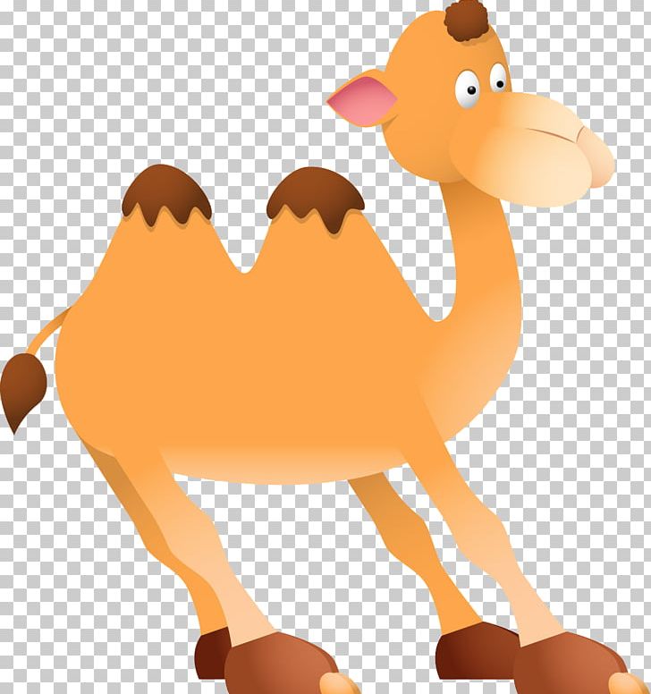 Camel Free Content PNG, Clipart, Animals, Arabian Camel, Balloon Cartoon, Beak, Boy Cartoon Free PNG Download