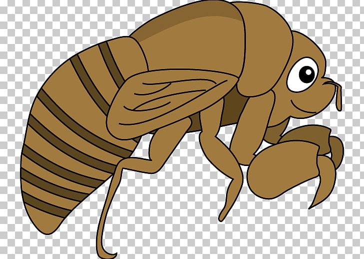 Cicadidae Flea 幼虫 Insect PNG, Clipart, A10, Arthropod, August, Cicadidae, Download Free PNG Download