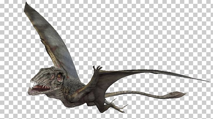 Dimorphodon Pteranodon Edmontosaurus Flying Reptiles Quetzalcoatlus PNG, Clipart, Animal Figure, Dimorphodon, Dinosaur, Edmontosaurus, Fauna Free PNG Download