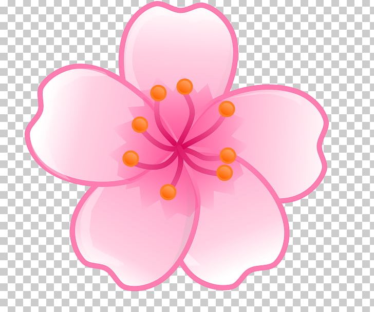 National Cherry Blossom Festival PNG, Clipart, Blossom, Cherry, Cherry Blossom, Drawing, Floral Design Free PNG Download