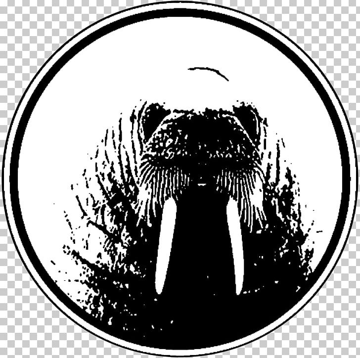 The Walrus Christmas Carnivora Party PNG, Clipart, Animals, Backpacker Hostel, Bar, Black, Black And White Free PNG Download