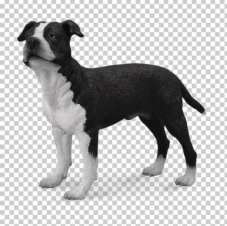 American Staffordshire Terrier Staffordshire Bull Terrier American Pit Bull Terrier PNG, Clipart, Airedale Terrier, American Pit Bull Terrier, American Staffordshire Terrier, Animals, Boston Terrier Free PNG Download