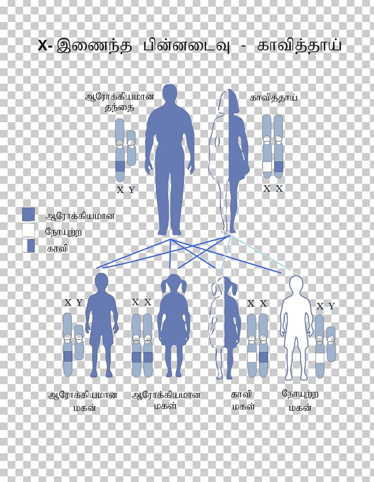 Color Blindness X-linked Recessive Inheritance X Chromosome Genetic Disorder Disease PNG, Clipart, Brand, Color, Color Blindness, Communication, Deuteranopia Free PNG Download