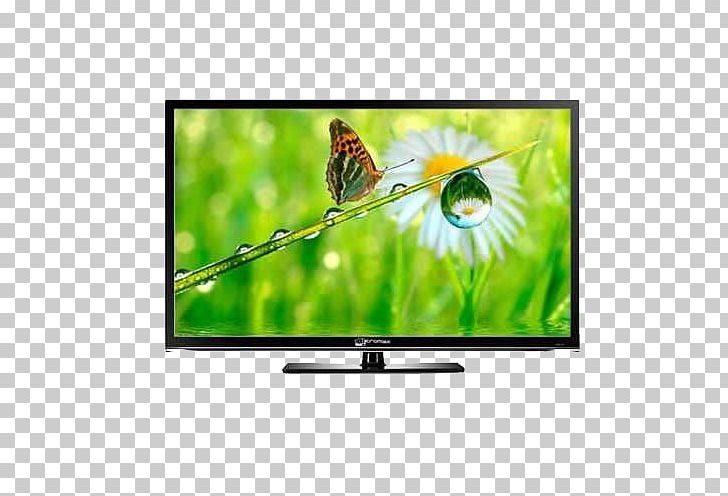 LED-backlit LCD HD Ready LCD Television Micromax Informatics PNG, Clipart, 1080p, Display Device, Display Size, Hd Ready, Highdefinition Television Free PNG Download