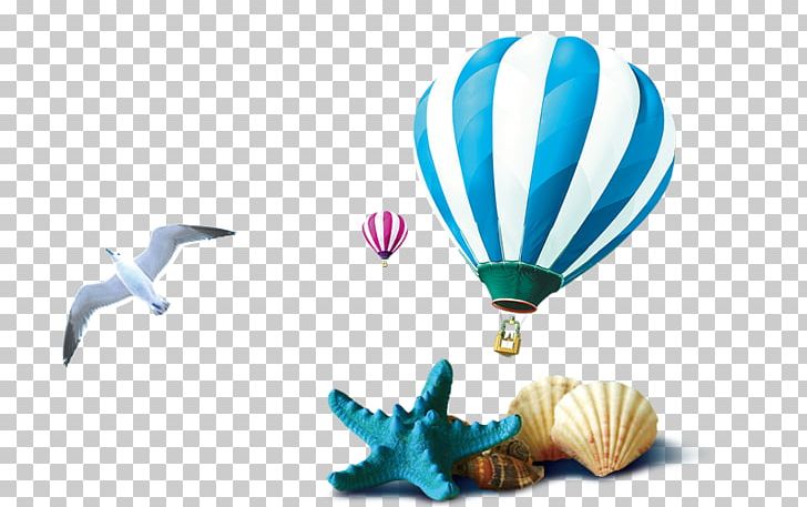 Seashell PNG, Clipart, Air Balloon, Balloon, Balloon Cartoon, Balloons, Beach Free PNG Download
