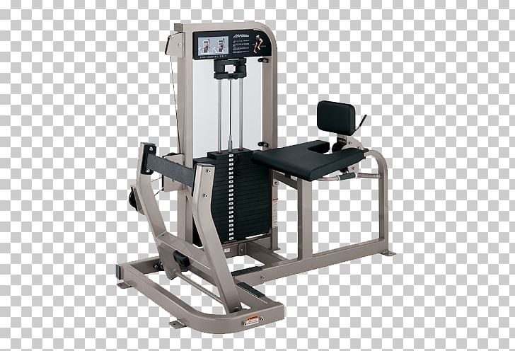 Exercise Equipment Fitness Centre Calf Raises Life Fitness PNG, Clipart, Bench, Calf, Calf Raises, Elliptical Trainers, Exercise Free PNG Download