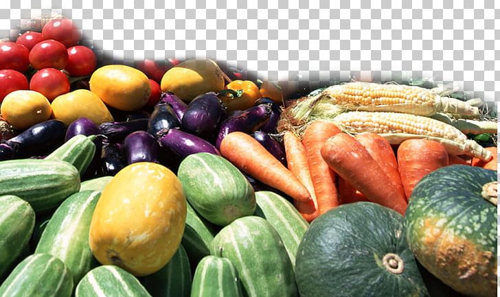 Okino Shokuryohinten Food Organic Farming Pesticide Residue Fertilizer PNG, Clipart, Diet Food, Eggplant, Fertilizer, Food, Fruit Free PNG Download