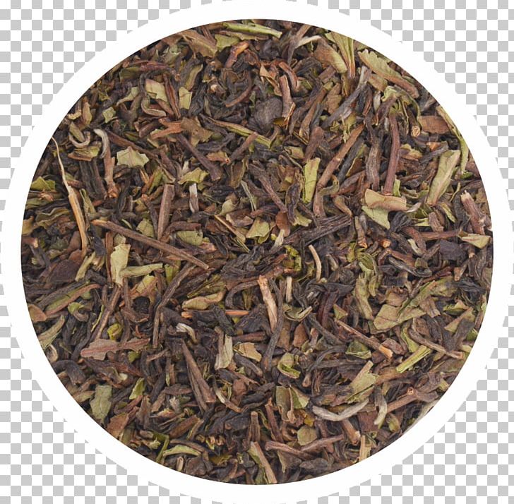 Zabulistan Kabulistan Greater Khorasan Bactria PNG, Clipart, Assam Tea, Bactria, Bai Mudan, Bancha, Ceylon Tea Free PNG Download