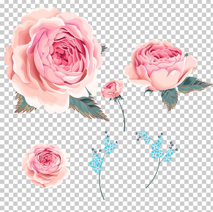 Garden Roses Centifolia Roses Beach Rose Orchids PNG, Clipart, Artificial Flower, Body Jewelry, Bud, Centifolia Roses, Compass Rose Free PNG Download