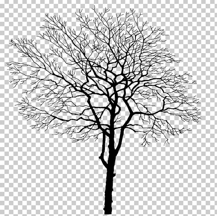 Tree Branch Trunk PNG, Clipart, Black, Black And White, Branch ...