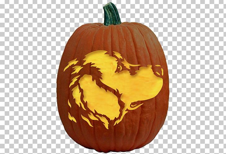 Calabaza Pumpkin Pie Jack-o'-lantern Carving PNG, Clipart, Abraham Lincoln, Calabaza, Carving, Cucurbita, Gourd Free PNG Download