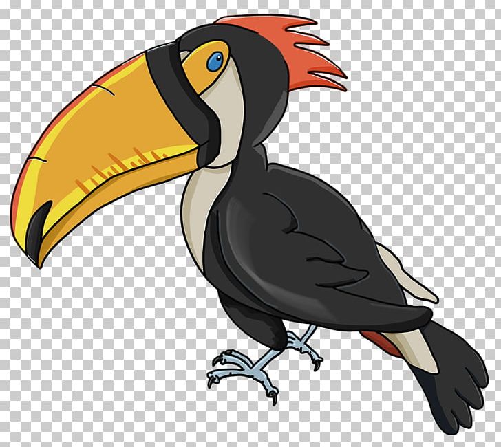 Bird Beak Parrot PNG, Clipart, Animal, Animals, Animated Film, Aracari, Beak Free PNG Download