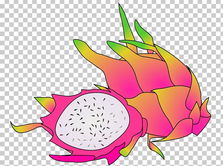 Fruit Pitaya PNG, Clipart, Artwork, Blog, Download, Flower, Flowering Plant Free PNG Download