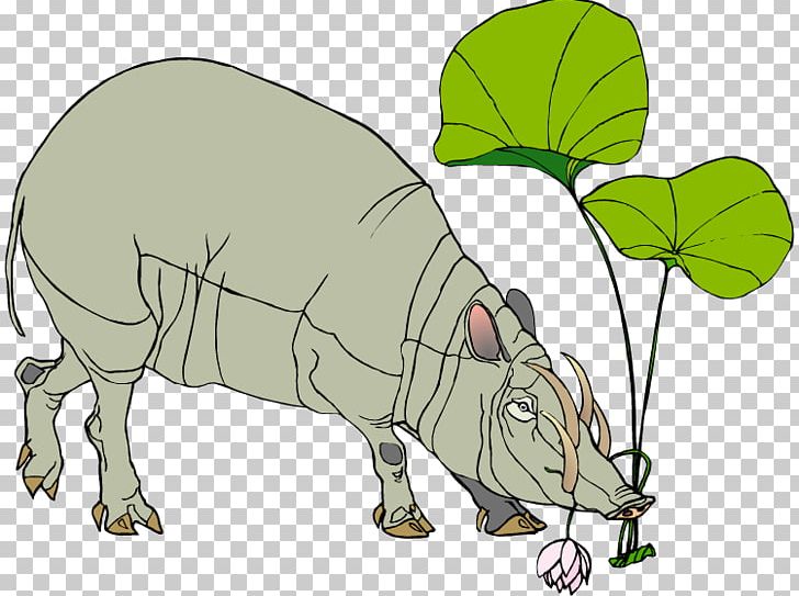 Pig Common Warthog PNG, Clipart, Animal, Animals, Babirusa, Cartoon, Cattle Free PNG Download