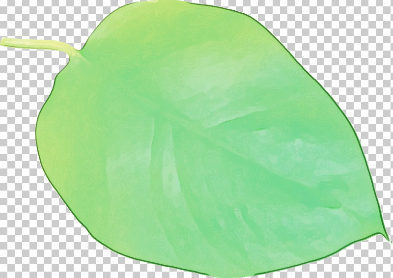 Leaf Green Plastic Plants Biology PNG, Clipart, Biology, Green, Leaf, Paint, Plants Free PNG Download