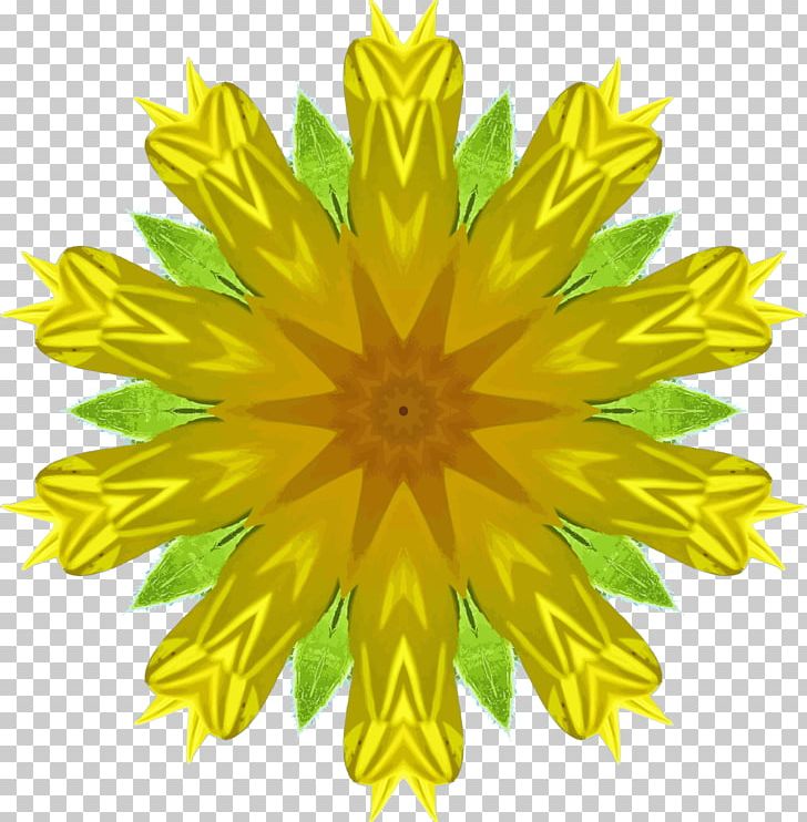 Common Dandelion PNG, Clipart, Art, Chrysanths, Common Dandelion, Computer Icons, Daisy Family Free PNG Download