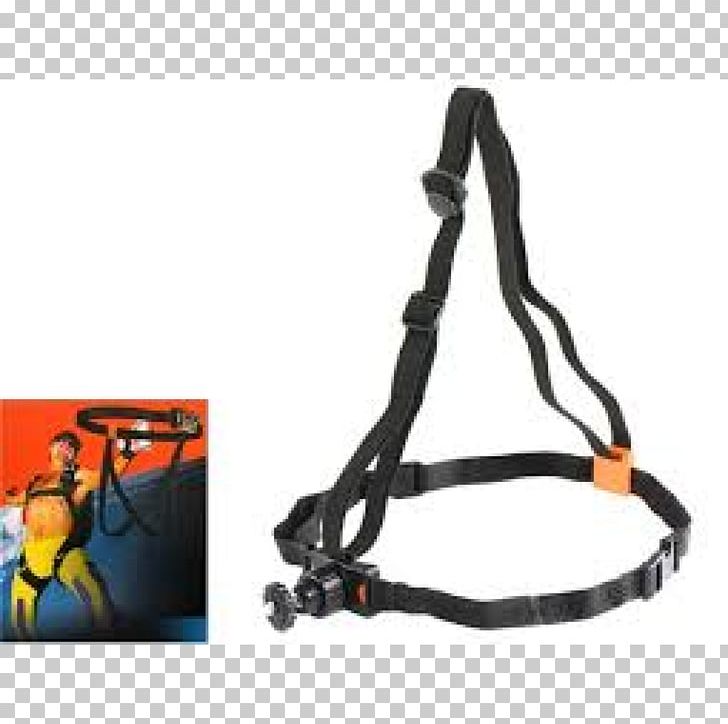Leash Climbing Harnesses Belt Strap Safety Harness PNG, Clipart, Belt, Climbing, Climbing Harness, Climbing Harnesses, Extreme Sports Free PNG Download