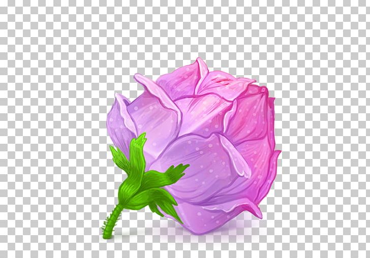 Pink Plant Flower Garden Roses Rose Family PNG, Clipart, Art, Box, Computer Icons, Cubes Art, Cut Flowers Free PNG Download