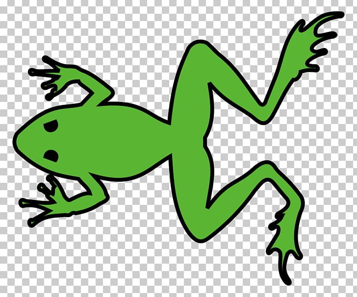 Amphibian France Grenouille Verte Frog Rainette PNG, Clipart, Amphibian, Animal Figure, Animals, Art, Artwork Free PNG Download