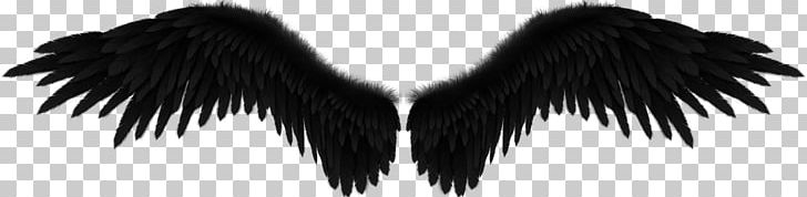 Fallen Angel Wing Black PNG, Clipart, Angel, Angel Wing, Black, Black And White, Black Angel Free PNG Download