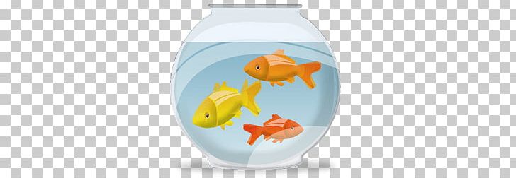 Fish Bowl With Fish PNG, Clipart, Fish Bowls, Miscellaneous Free PNG Download