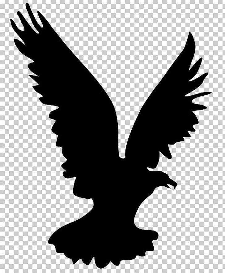 Bald Eagle Bird Silhouette PNG, Clipart, Bald Eagle, Beak, Bird, Bird Of Prey, Black And White Free PNG Download