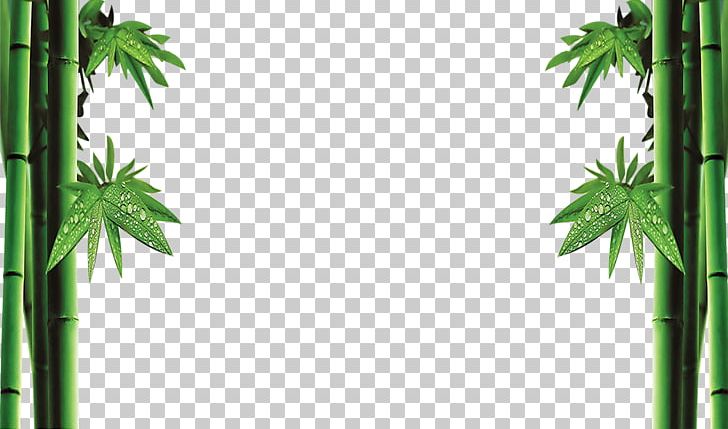 Bamboo Bamboe PNG, Clipart, Bamboe, Bamboo, Bamboo Border, Bamboo Frame, Bamboo Leaf Free PNG Download