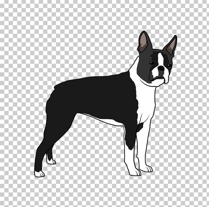 Boston Terrier Dog Breed Non-sporting Group Whiskers Breed Group (dog) PNG, Clipart, Black And White, Boston, Boston Terrier, Boston Terrier Dog, Breed Free PNG Download