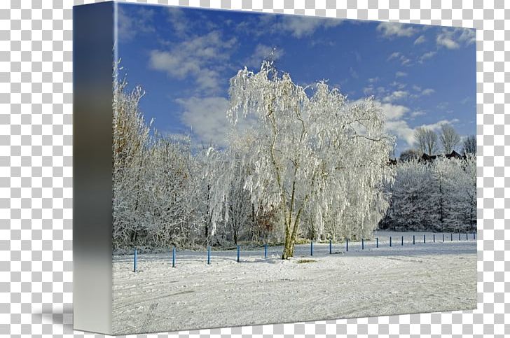 Winter Sky Plc Branching PNG, Clipart, Branch, Branching, Freezing, Frost, Landscape Free PNG Download