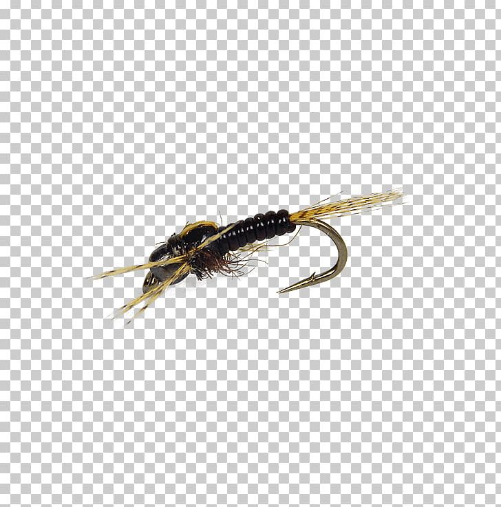 Artificial Fly Fly Fishing Insect Holly Flies PNG, Clipart, Artificial Fly, Brand, Feather, Fishing, Fly Free PNG Download