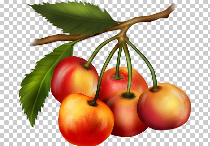 Cherry Bush Tomato Fruit Peach Vegetarian Cuisine PNG, Clipart, Apple, Biscuits, Blog, Bush Tomato, Cherry Free PNG Download
